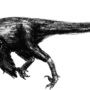 velociraptor.png