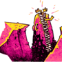 ravin_ammu.png
